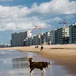 Uniek zeezicht Oostende